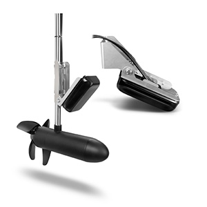 Garmin Panoptix PS31