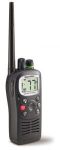 RAYMARINE RAY101E
